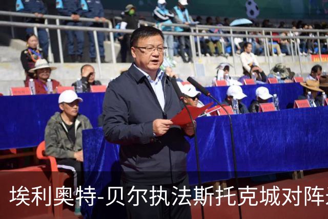 埃利奥特-贝尔执法斯托克城对阵米德尔斯堡的比赛数据报告