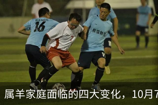 属羊家庭面临的四大变化，10月7日后需主动应对